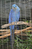 Veronica > Fort Worth Zoo 9.23.07 photo