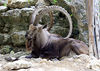 Veronica > Fort Worth Zoo 9.23.07 photo