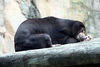 Veronica > Fort Worth Zoo 9.23.07 photo