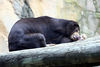 Veronica > Fort Worth Zoo 9.23.07 photo
