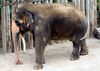 Veronica > Fort Worth Zoo 9.23.07 photo