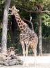 Veronica > Fort Worth Zoo 9.23.07 photo