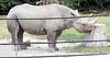 Veronica > Fort Worth Zoo 9.23.07 photo