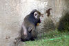 Veronica > Fort Worth Zoo 9.23.07 photo