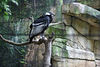 Veronica > Fort Worth Zoo 9.23.07 photo