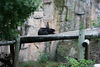 Veronica > Fort Worth Zoo 9.23.07 photo