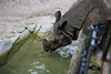 Veronica > Fort Worth Zoo 9.23.07 photo