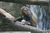 Veronica > Fort Worth Zoo 9.23.07 photo