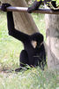 Veronica > Fort Worth Zoo 9.23.07 photo
