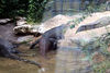 Veronica > Fort Worth Zoo 9.23.07 photo