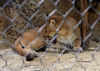 Veronica > Fort Worth Zoo 9.23.07 photo
