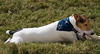 Veronica > Jeter 11.3.07 photo