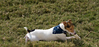 Veronica > Jeter 11.3.07 photo